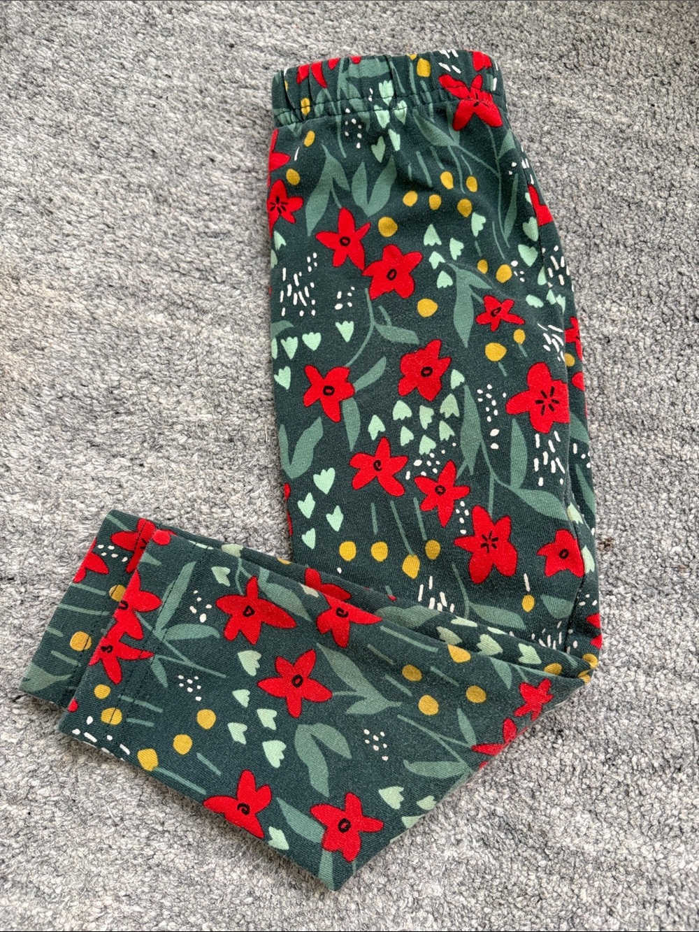 Hanna Andersson Green Floral Fleece Pajama Pants with Red Flowers